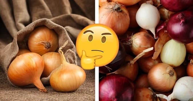 Is it OK to eat onions everyday?