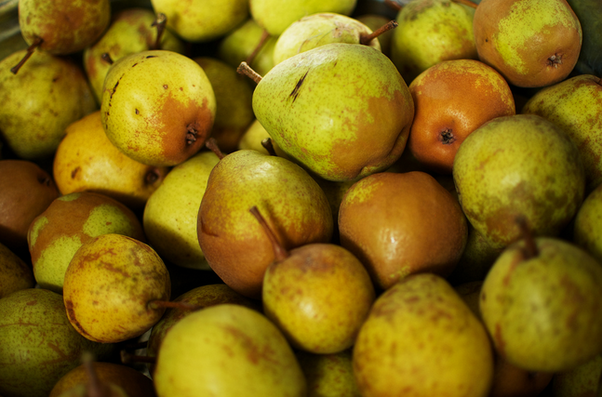 is-it-ok-to-eat-unripe-pears