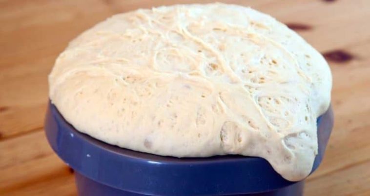 Is it OK to refrigerate bread dough overnight?
