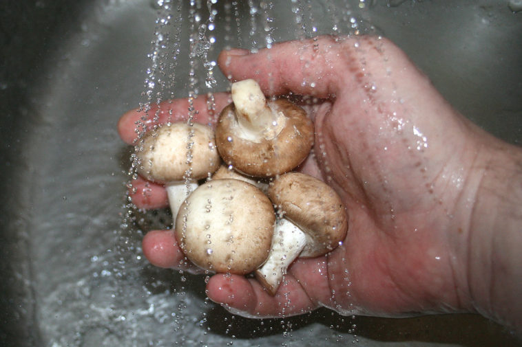 Is it OK to wash mushrooms?