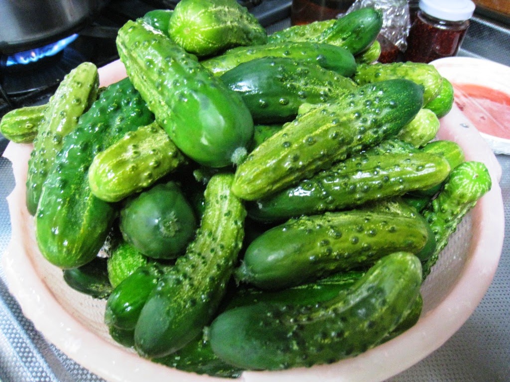 Is it bad to eat too many pickled gherkins?