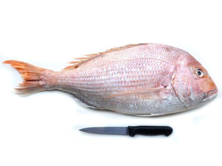 Is it better to buy whole fish?