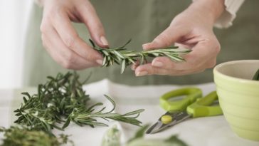 Is it better to freeze or dry rosemary?