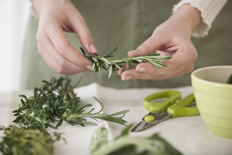 Is it better to freeze or dry rosemary?