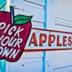 Is it cheaper to pick your own apples?