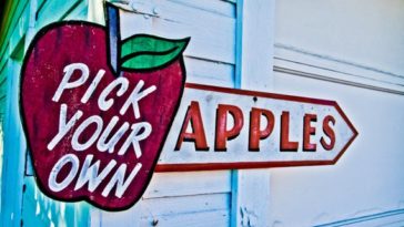 Is it cheaper to pick your own apples?