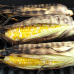 Is it legal to fish with corn in Montana?