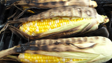 Is it legal to fish with corn in Montana?