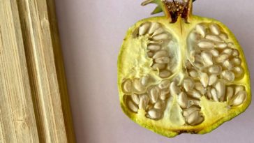 Is it safe to eat unripe pomegranate?