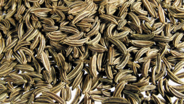 Is jeera same as fennel?