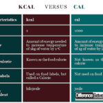 Is kilocalorie same as calorie?