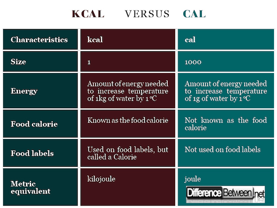 Is kilocalorie same as calorie?