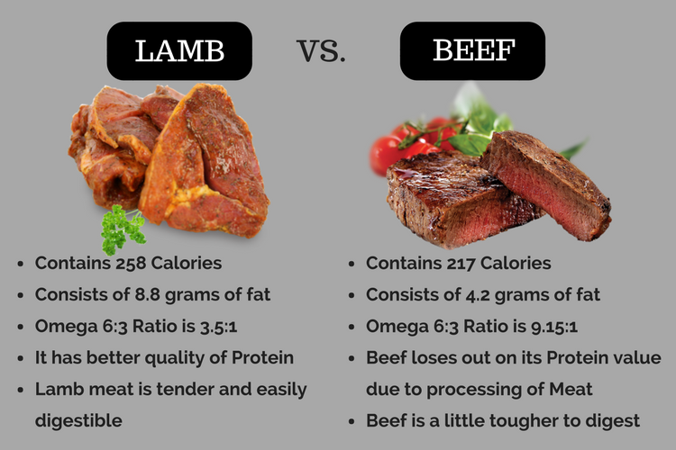 Is lamb healthier than beef?