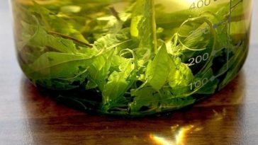 Is lemon verbena good for the skin?