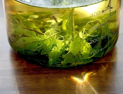 Is lemon verbena good for the skin?