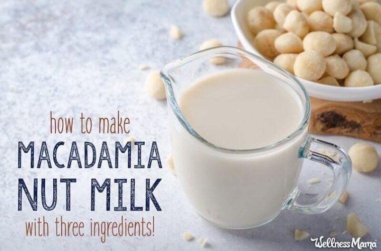 Is macadamia milk any good?