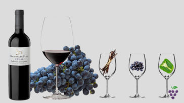 Is merlot or shiraz better for cooking?