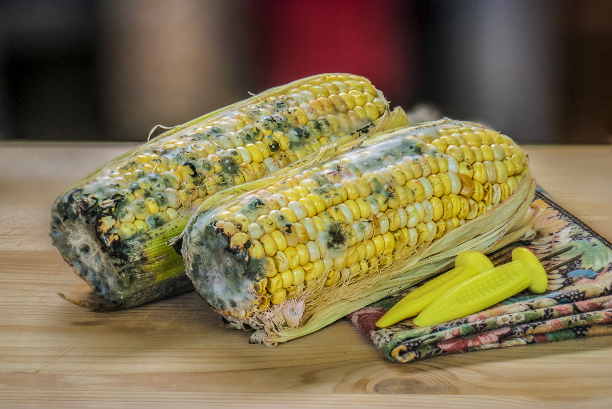 Is moldy corn safe to eat? - Foodly