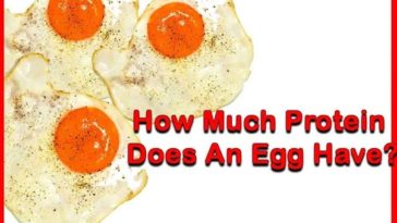 Is one egg a day enough protein?