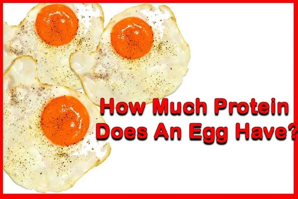 Is one egg a day enough protein?