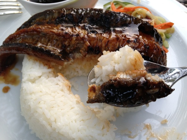 Is oyster sauce eel sauce?