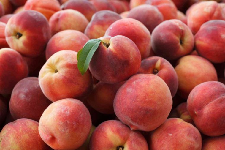 Is peach good for weight loss?