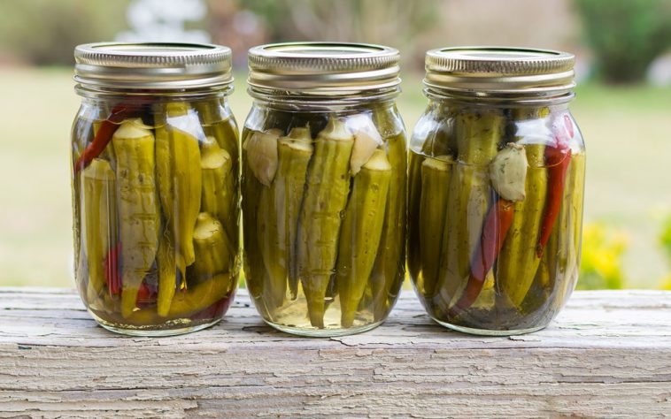 Is pickled okra a healthy snack?