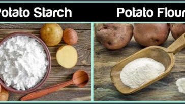 Is potato flour the same as potato starch?