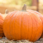 Is pumpkin healthy to eat?