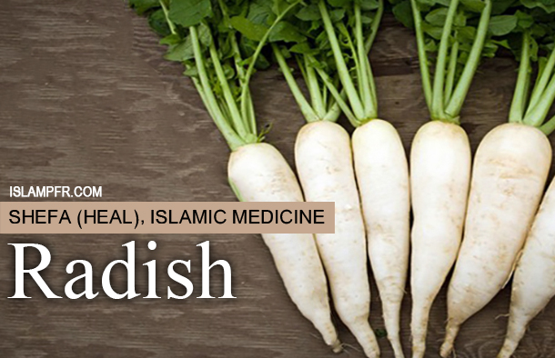 Is radish good for kidney?