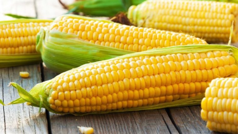 Is raw sweet corn good for you?