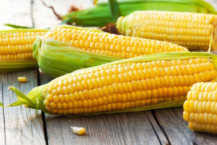 Is raw sweet corn good for you?