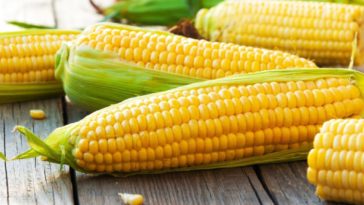 Is raw sweet corn good for you?