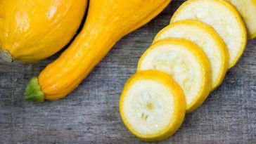 Is raw yellow squash good for you?