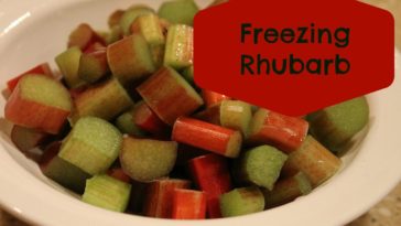 Is rhubarb poisonous after freezing?