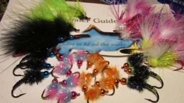 Is salmon still good after 5 days?