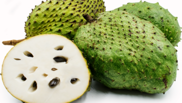 Is soursop a Superfood?