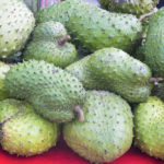 Is soursop an antiviral?