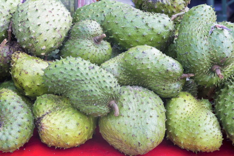 Is soursop an antiviral?
