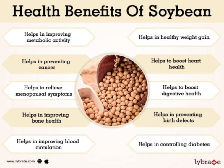 Is soy flour good for weight loss?