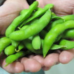 Is soybean and edamame the same thing?