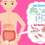 Is spelt good for your gut?