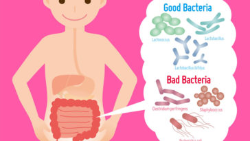 Is spelt good for your gut?