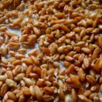 Is spelt the same as barley?