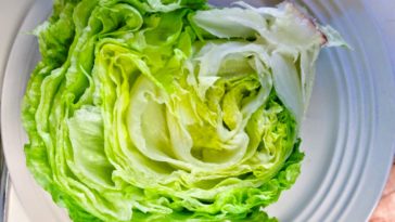 Is spring mix better than romaine?