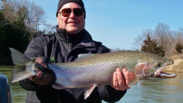 Is steelhead fish good to eat?