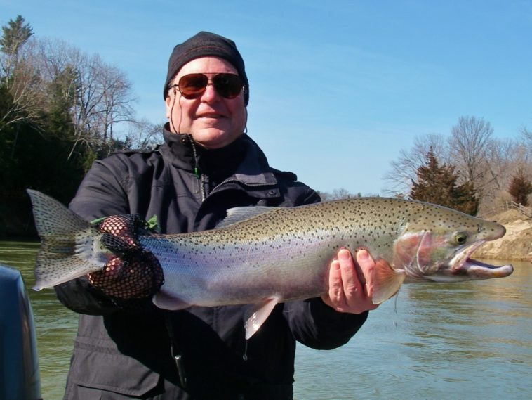 Is steelhead fish good to eat?