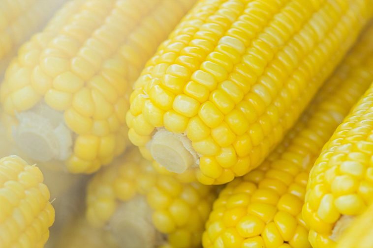 Is sweet corn good for weight loss?