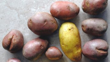 Is sweet potato better than regular potato?