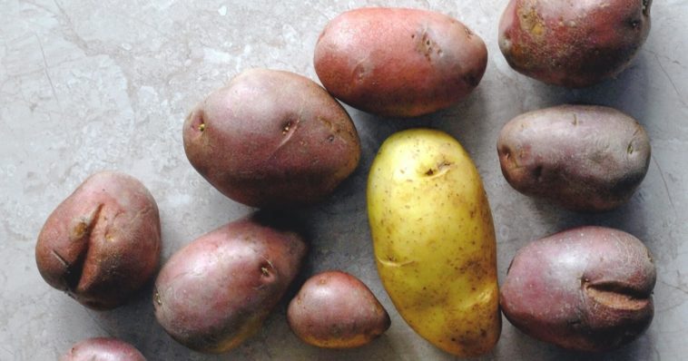 Is sweet potato better than regular potato?
